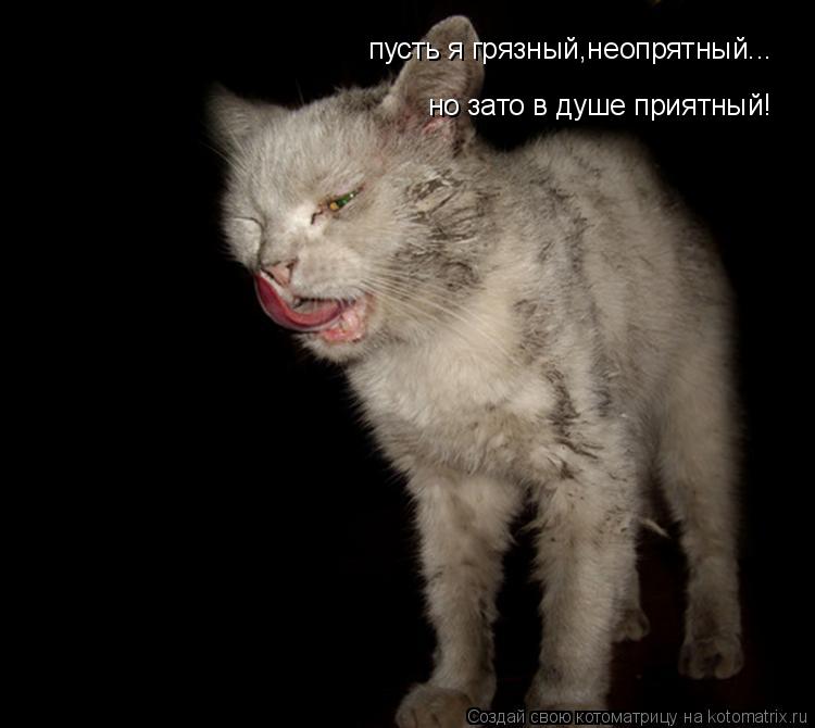 Котоматрица: пусть я грязный,неопрятный... но зато в душе приятный!