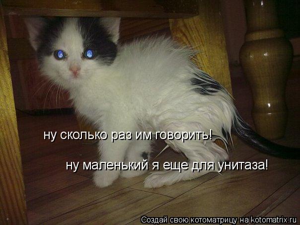 Котоматрица: ну сколько раз им говорить! ну маленький я еще для унитаза!