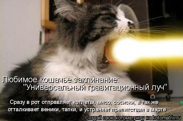 Котоматрица: "Универсальный гравитационный луч" Любимое кошачье заклинание: отталкивает веники, тапки, и устраняет препятствия в марте Сразу в рот отпр