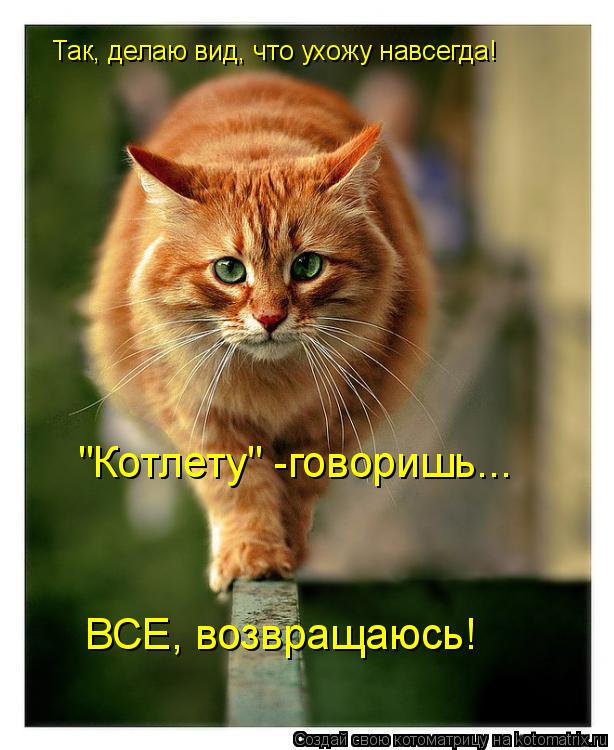 Котоматрица: Так, делаю вид, что ухожу навсегда! "Котлету" -говоришь... ВСЕ, возвращаюсь!