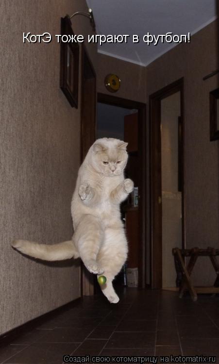 Котоматрица: КотЭ тоже играют в футбол!