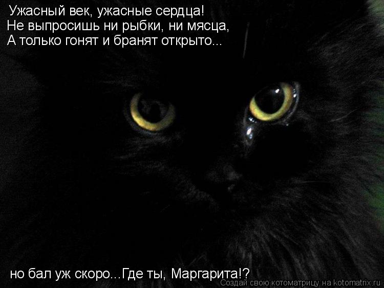 Котоматрица: Ужасный век, ужасные сердца! Не выпросишь ни рыбки, ни мясца, А только гонят и бранят открыто... но бал уж скоро...Где ты, Маргарита!?