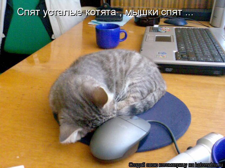 Котоматрица: Спят усталые котята , мышки спят ...