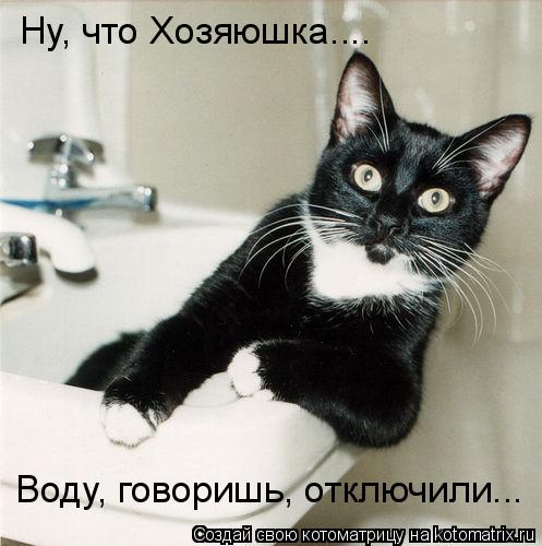 Котоматрица: Ну, что Хозяюшка.... Воду, говоришь, отключили...