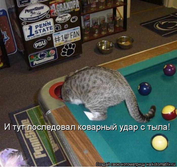 Котоматрица: И тут последовал коварный удар с тыла!