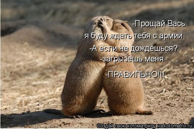 Котоматрица: -Прощай Вась я буду ждать тебя с армии -А если не дождёшься? -загрызёшь меня -ПРАВИЛЬНО!!!