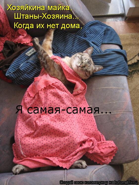 Котоматрица: Хозяйкина майка, Штаны-Хозяина... Когда их нет дома, Я самая-самая...