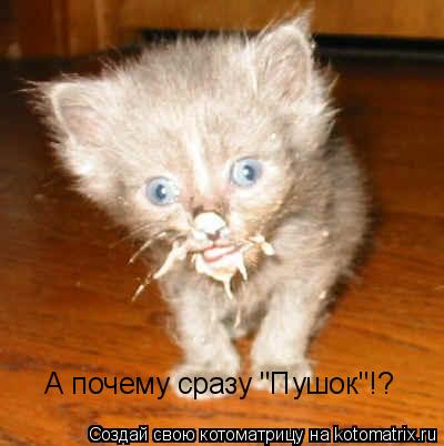 Котоматрица: А почему сразу "Пушок"!?