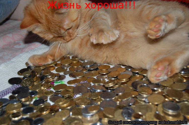 Котоматрица: Жизнь хороша!!!