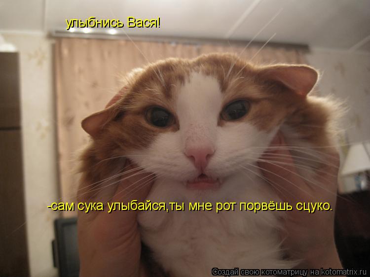 Котоматрица: улыбнись Вася! -сам сука улыбайся,ты мне рот порвёшь сцуко.