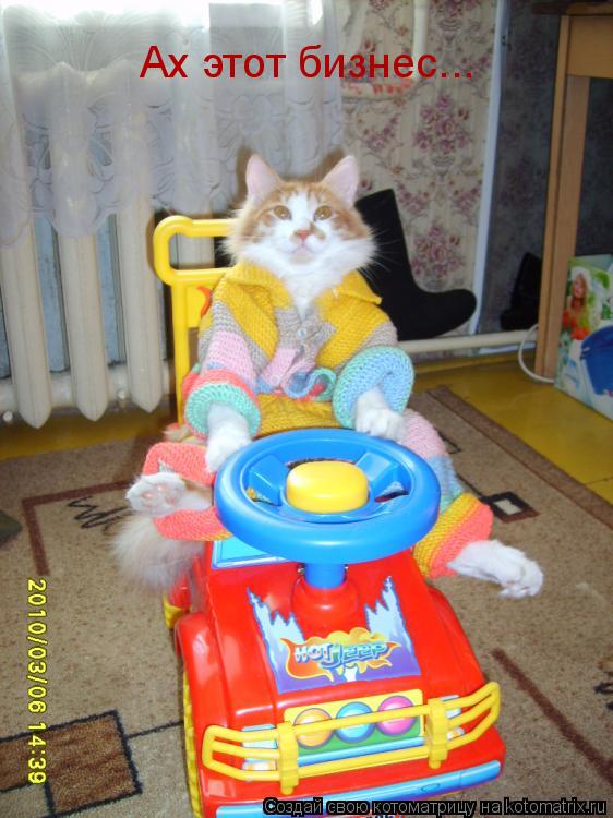 Котоматрица: Ах этот бизнес...