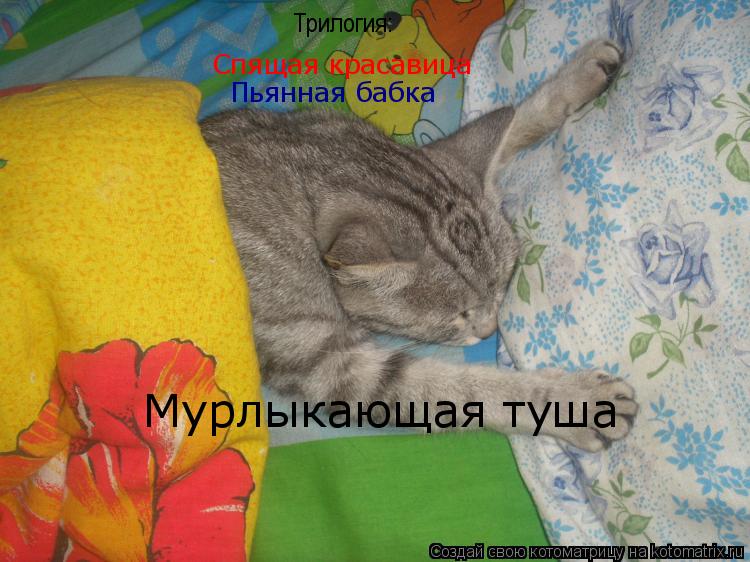 Котоматрица: Трилогия: Спящая красавица Пьянная бабка  Мурлыкающая туша