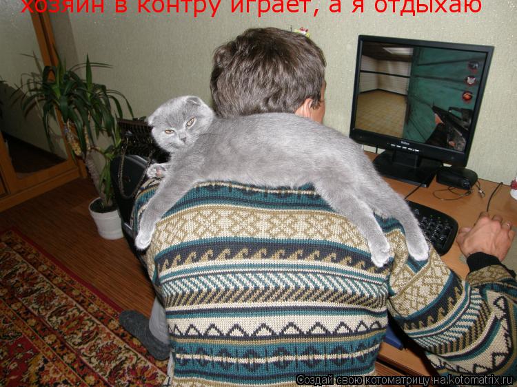 Котоматрица: хозяин в контру играет, а я отдыхаю