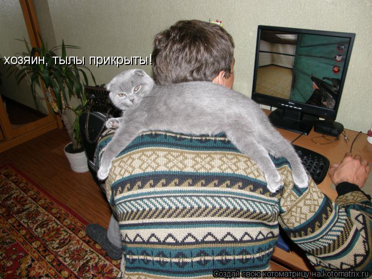 Котоматрица: хозяин, тылы прикрыты!