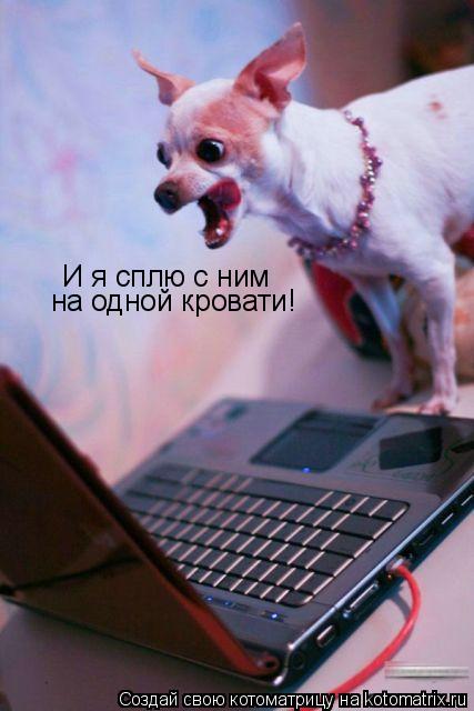 Котоматрица: И я сплю с ним  на одной кровати!