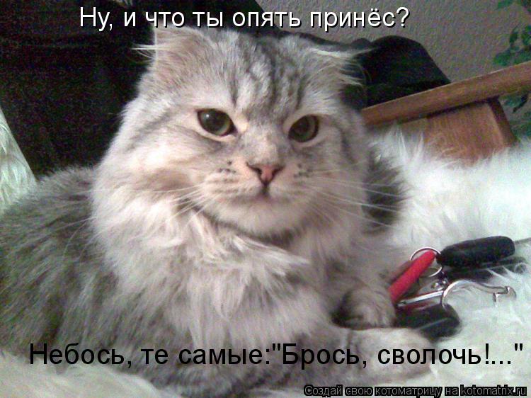 Котоматрица: Ну, и что ты опять принёс? Небось, те самые:"Брось, сволочь!..."