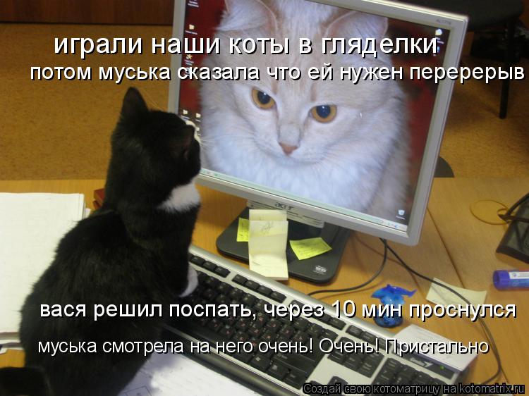Котоматрица: играли наши коты в гляделки потом муська сказала что ей нужен перерерыв вася решил поспать, через 10 мин проснулся муська смотрела на него о