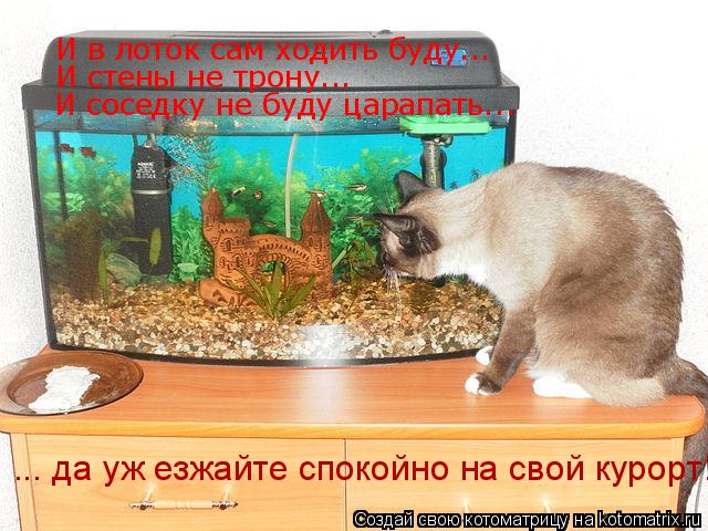 Котоматрица: И в лоток сам ходить буду... И стены не трону... И соседку не буду царапать... ... да уж езжайте спокойно на свой курорт!
