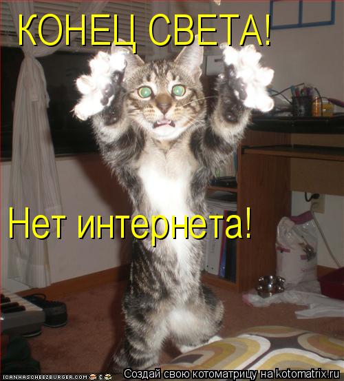 КОНЕЦ СВЕТА! Нет интернета!... Котоматрица: КОНЕЦ СВЕТА! Нет интернета!