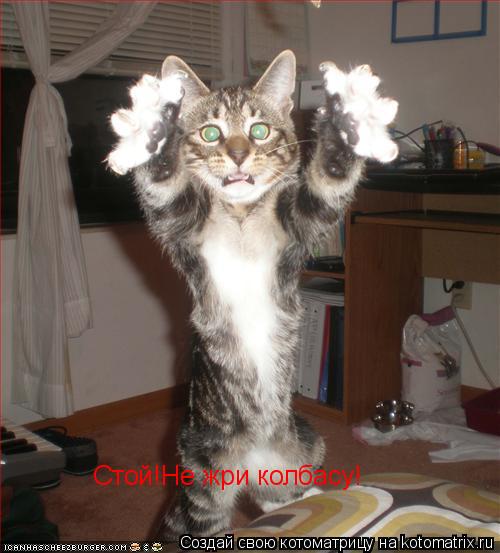 Котоматрица: Стой!Не жри колбасу!
