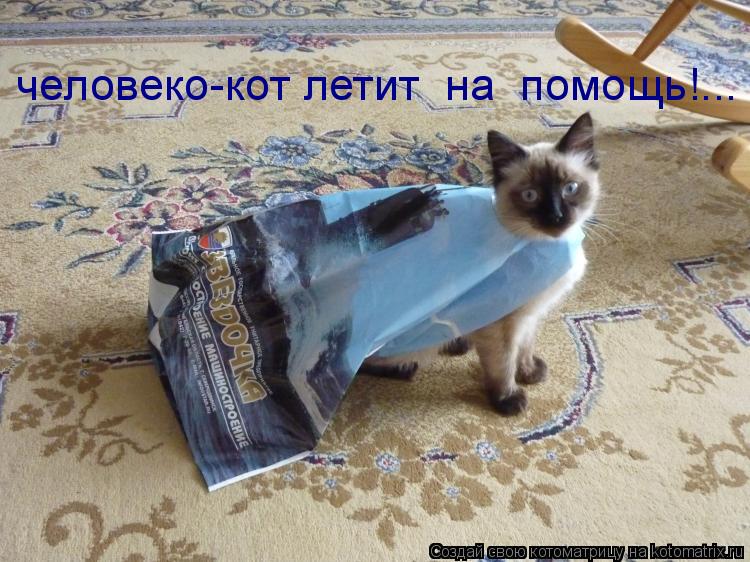 Котоматрица: человеко-кот летит  на  помощь!...
