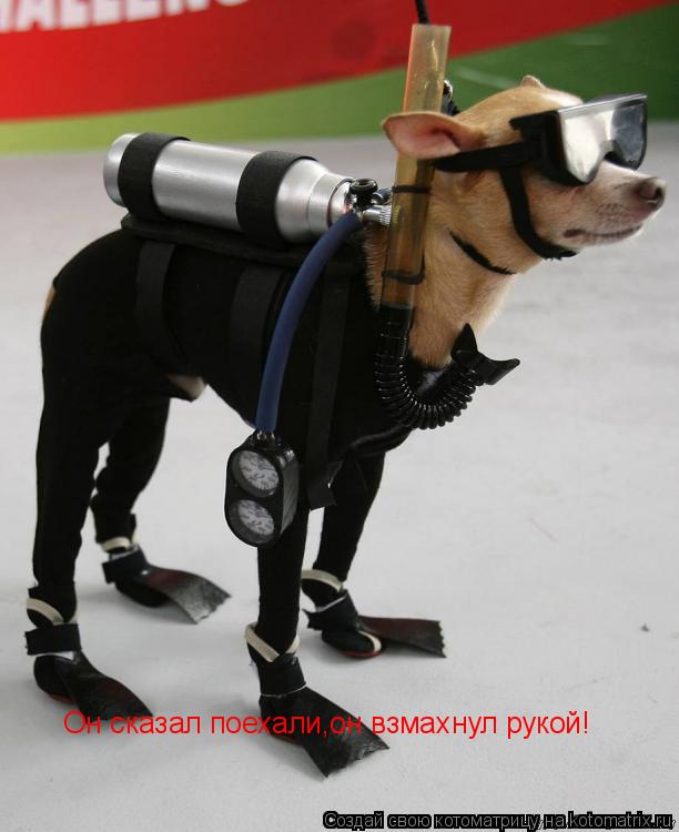 Котоматрица: Он сказал поехали,он взмахнул рукой!