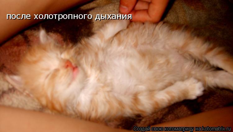 Котоматрица: после холотропного дыхания