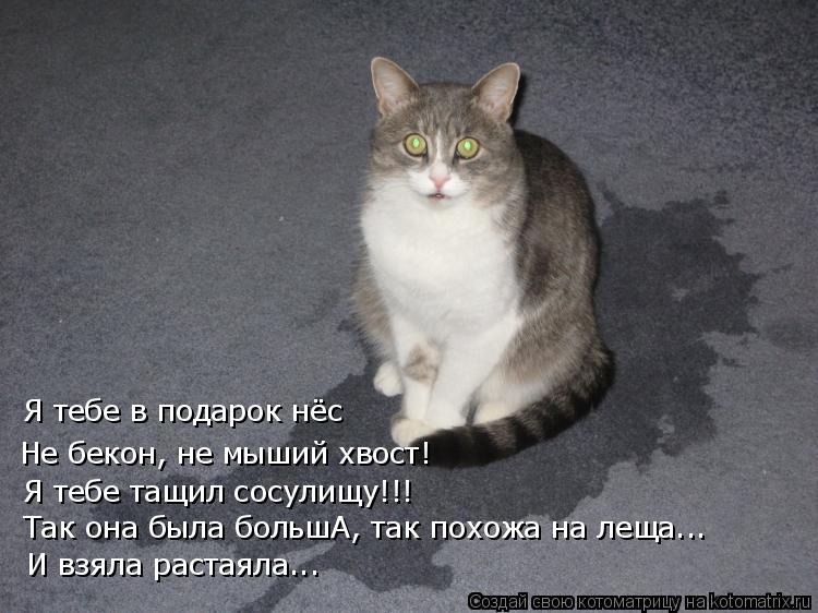 Котоматрица: Я тебе в подарок нёс Не бекон, не мыший хвост! Я тебе тащил сосулищу!!! Так она была большА, так похожа на леща... И взяла растаяла...