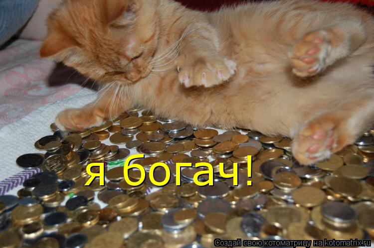 Котоматрица: я богач!