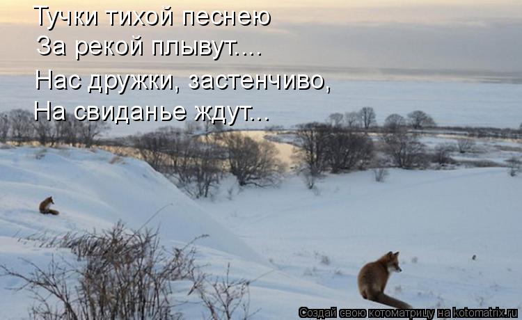 Тучки тихой песнею За рекой плывут.... Нас дружки, застенчиво, На свиданье ждут...... Котоматрица: Тучки тихой песнею За рекой плывут.... Нас дружки, застенчиво, На свиданье ждут...