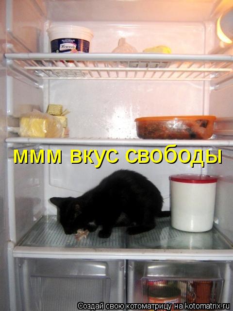 ммм вкус свободы... Котоматрица: ммм вкус свободы