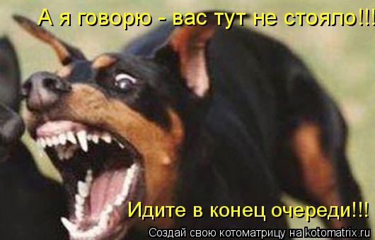 А я говорю - вас тут не стояло!!! Идите в конец очереди!!!... Котоматрица: А я говорю - вас тут не стояло!!! Идите в конец очереди!!!
