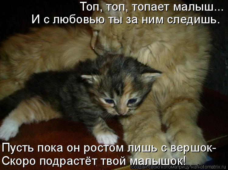 Топ, топ, топает малыш... И с любовью ты за ним следишь. Скоро подрастёт твой малышок! Пусть пока он ... Котоматрица: Топ, топ, топает малыш... И с любовью ты за ним следишь. Скоро подрастёт твой малышок! Пусть пока он ростом лишь с вершок-