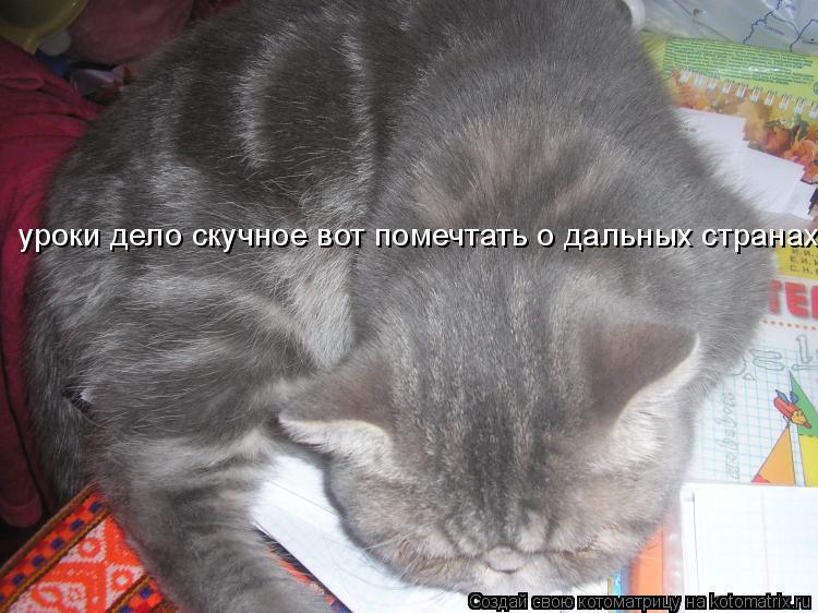 уроки дело скучное вот помечтать о дальных странах... Котоматрица: уроки дело скучное вот помечтать о дальных странах