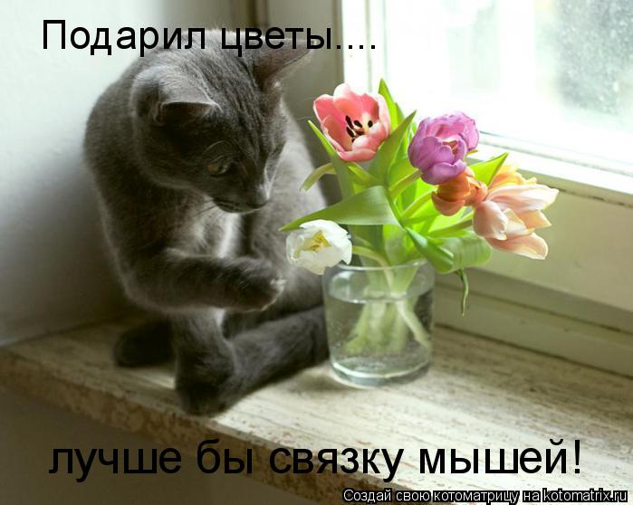 Подарил цветы.... лучше бы связку мышей!... Котоматрица: Подарил цветы.... лучше бы связку мышей!
