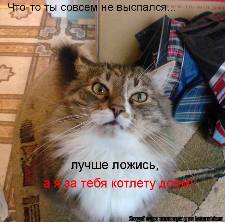 Что-то ты совсем не выспался... лучше ложись, а я за тебя котлету доем!... Котоматрица: Что-то ты совсем не выспался... лучше ложись, а я за тебя котлету доем!