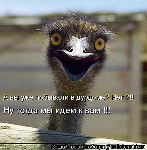 Котоматрица: А вы уже побывали в дурдоме? Нет ?!! Ну тогда мы идем к вам !!!