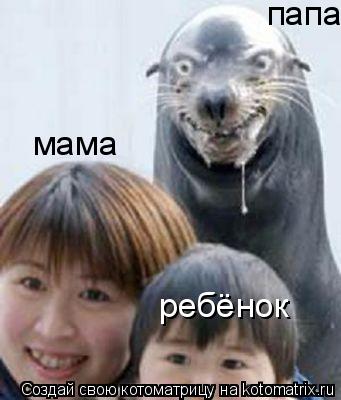 Котоматрица: папа мама ребёнок