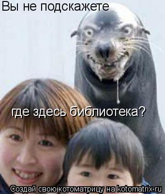 Котоматрица: Вы не подскажете  где здесь библиотека?