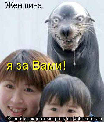 Котоматрица: Женщина, я за Вами!