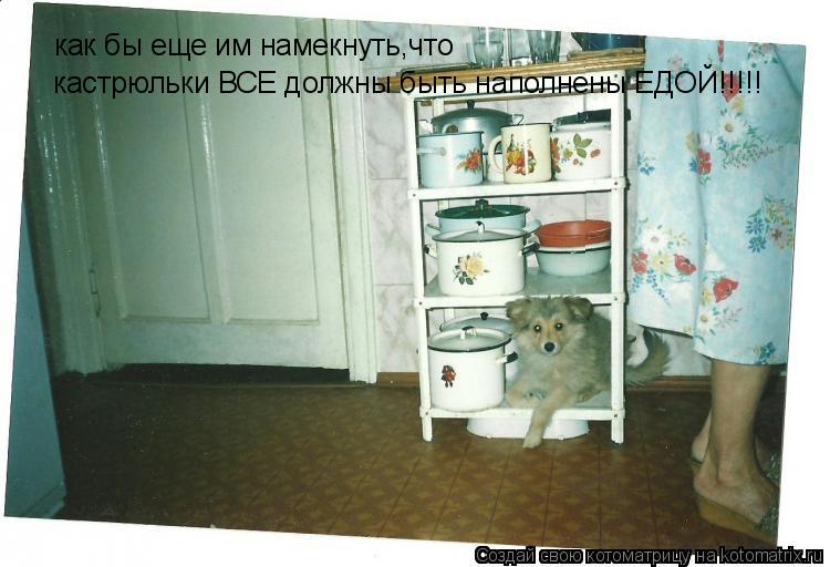 Котоматрица: как бы еще им намекнуть,что  как бы еще им намекнуть,что  кастрюльки ВСЕ должны быть наполнены ЕДОЙ!!!!!