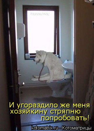 Котоматрица: И угораздило же меня хозяйкину стряпню попробовать!