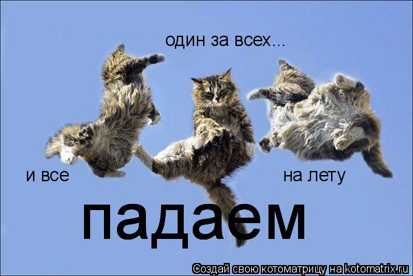 Котоматрица: один за всех... и все на лету падаем падаем