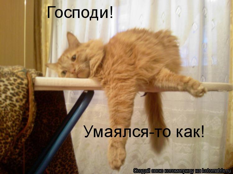 Котоматрица: Господи! Умаялся-то как!