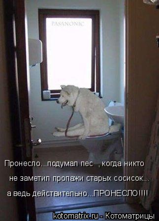 Котоматрица: не заметил пропажи старых сосисок... Пронесло...подумал пес , когда никто  а ведь действительно...ПРОНЕСЛО!!!!
