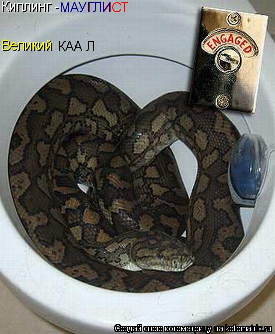 Котоматрица: Киплинг -  Великий КАА Л ГЛИСТ МАУГЛИ