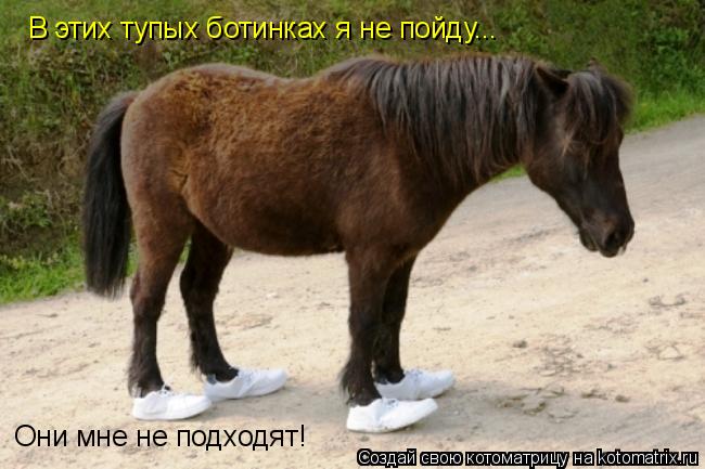 В этих тупых ботинках я не пойду... Они мне не подходят!... Котоматрица: В этих тупых ботинках я не пойду... Они мне не подходят!