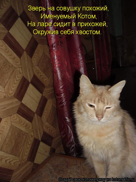 Зверь на совушку похожий, Именуемый Котом, На ларе сидит в прихожей, Окружив себя хвостом.... Котоматрица: Зверь на совушку похожий, Именуемый Котом, На ларе сидит в прихожей, Окружив себя хвостом.