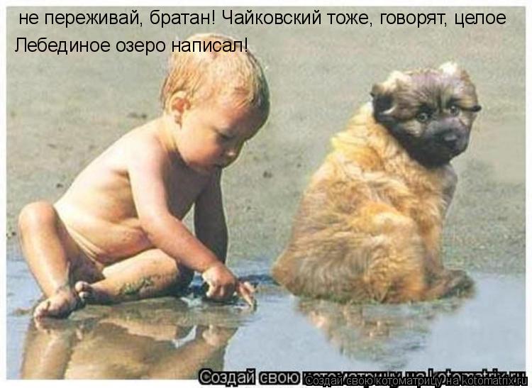 Котоматрица: не переживай, братан! Чайковский тоже, говорят, целое  Лебединое озеро написал!