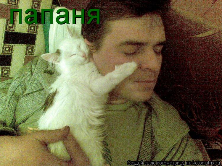 Котоматрица: папаня